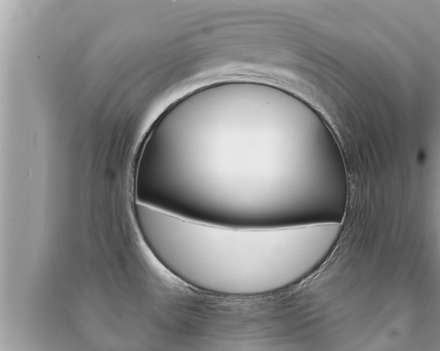 X0000091221531200708091126