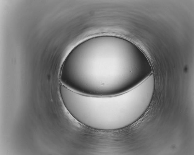 X0000091221532200708091126