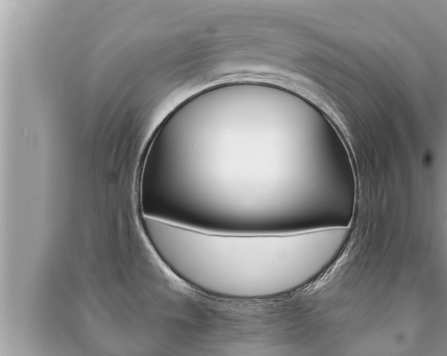 X0000091221533200708091126