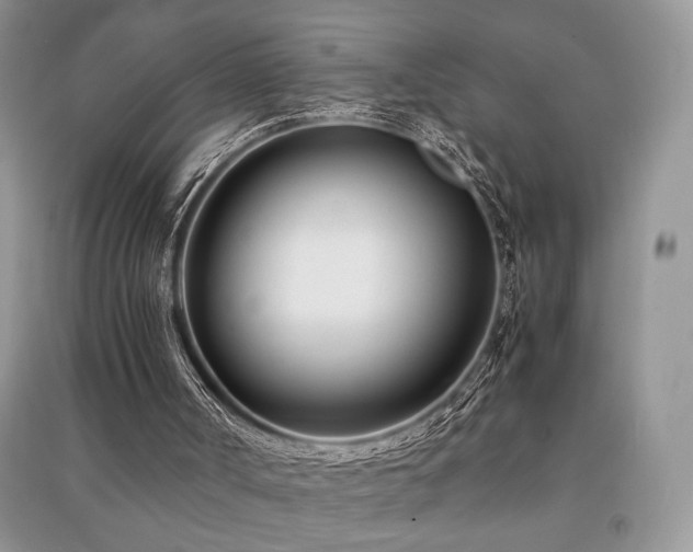 X0000091220002200708091418