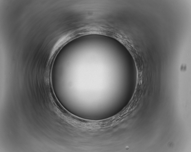 X0000091220004200708091418