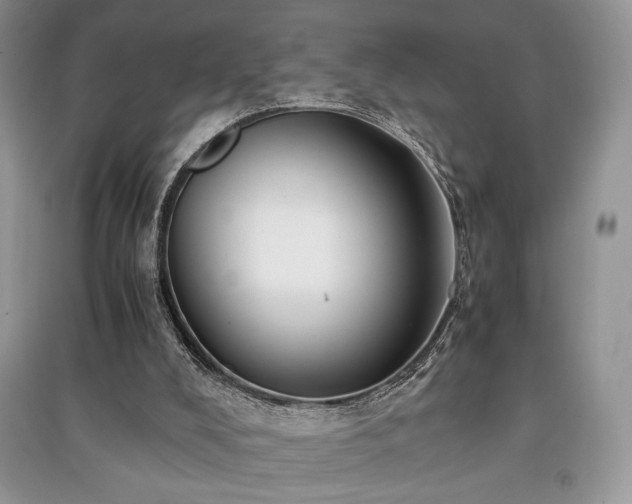 X0000091220008200708091418