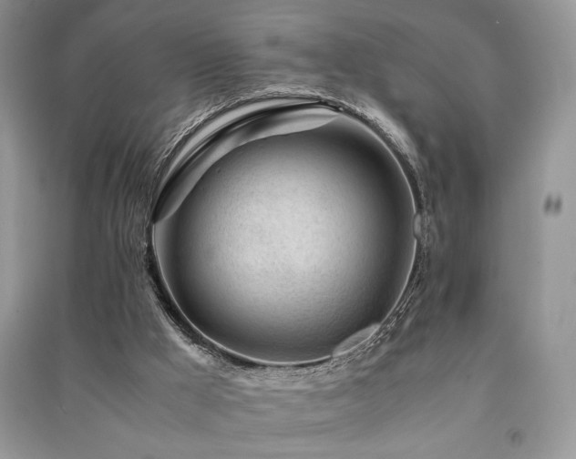 X0000091220009200708091418