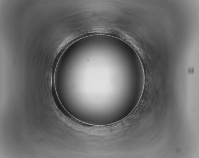 X0000091220011200708091418