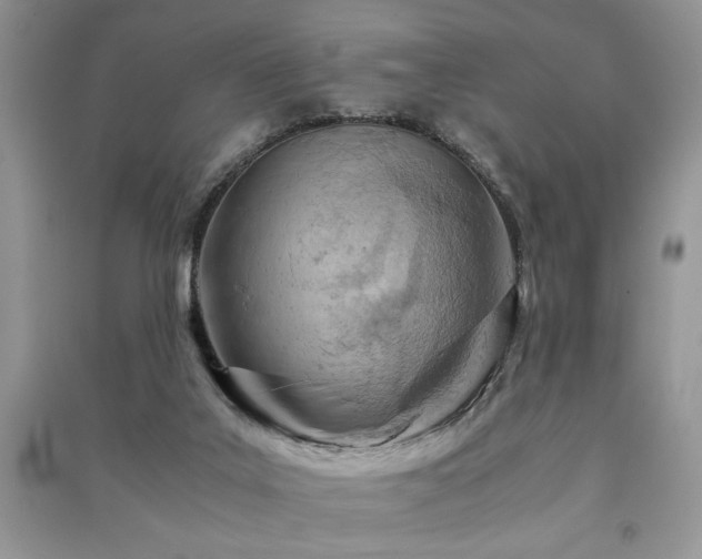 X0000091220019200708091418