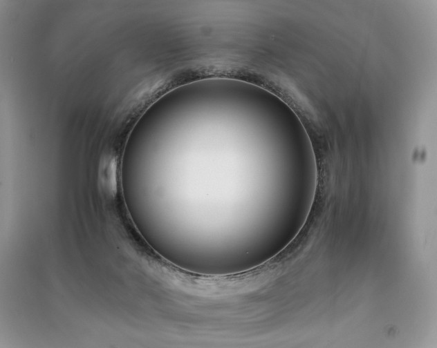 X0000091220022200708091418