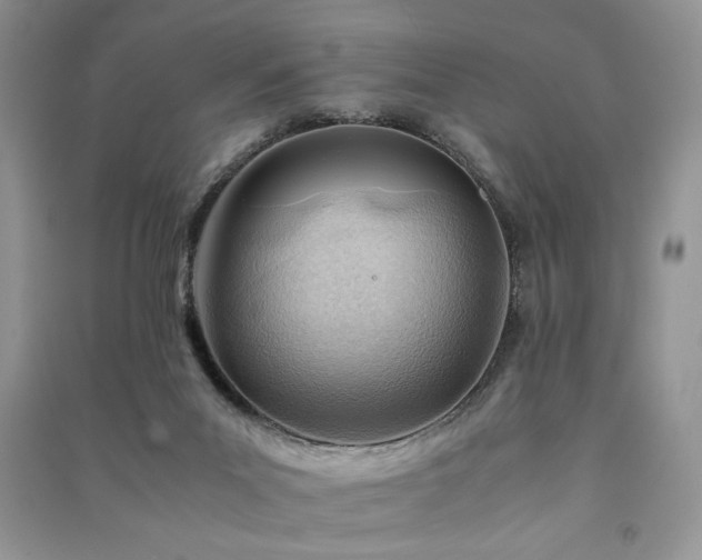 X0000091220023200708091418