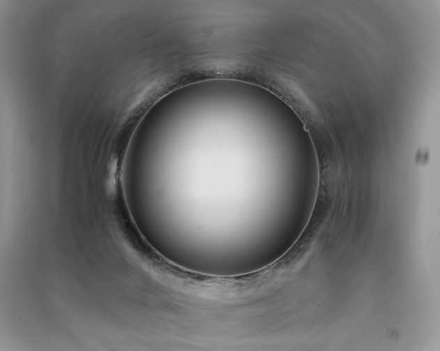 X0000091220024200708091418