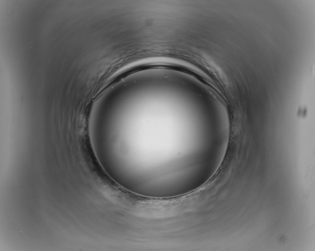 X0000091220025200708091418