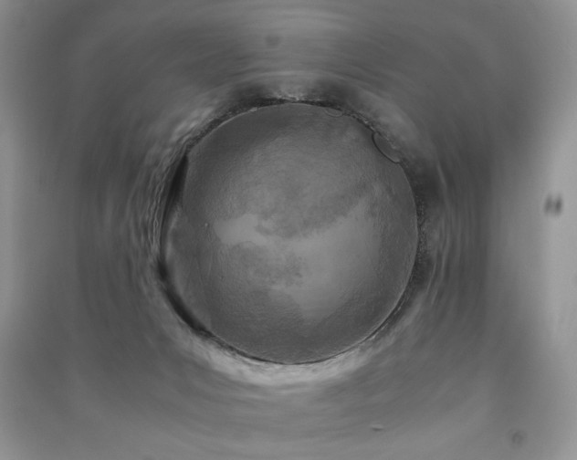 X0000091220031200708091418