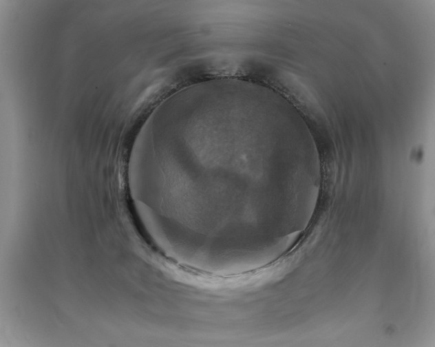 X0000091220035200708091418