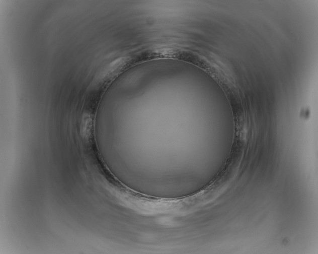 X0000091220036200708091418