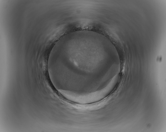 X0000091220039200708091418