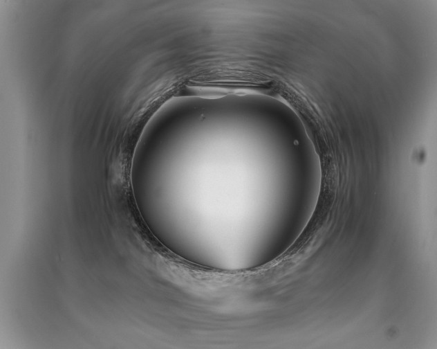 X0000091220044200708091418