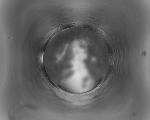 X0000091220047200708091418