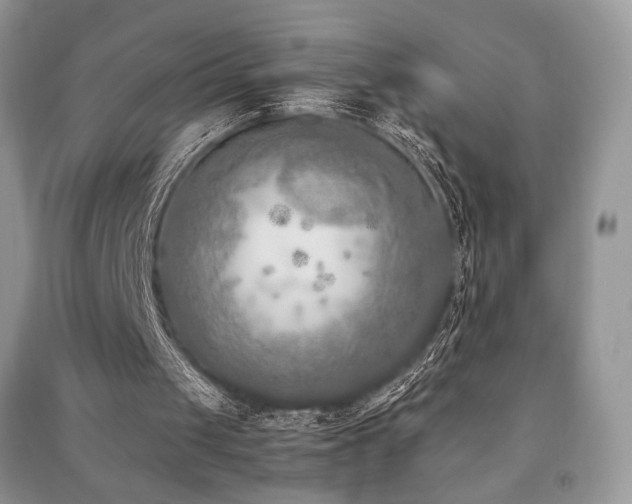 X0000091220049200708091417