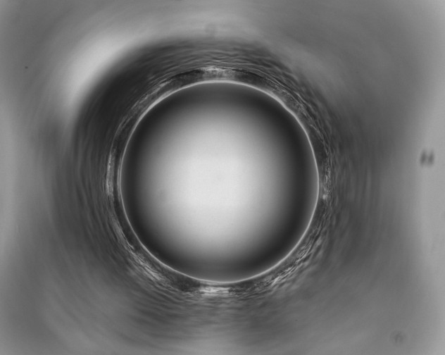 X0000091220052200708091417