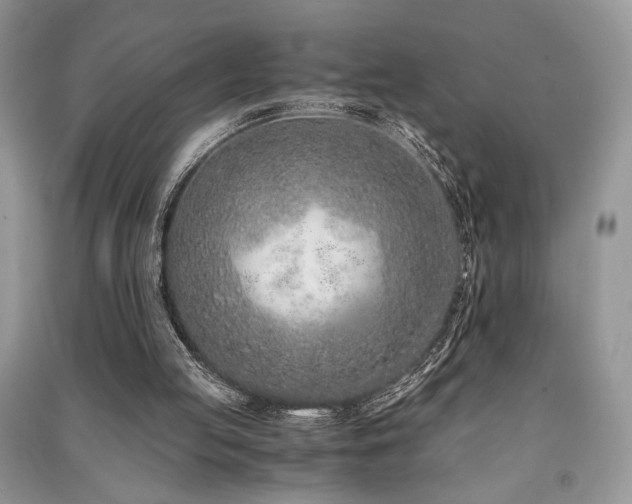 X0000091220053200708091417