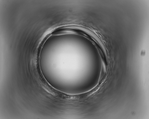 X0000091220056200708091417