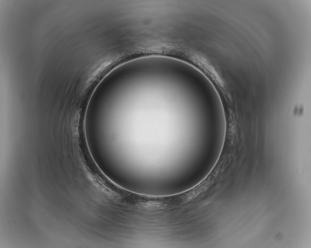 X0000091220058200708091417