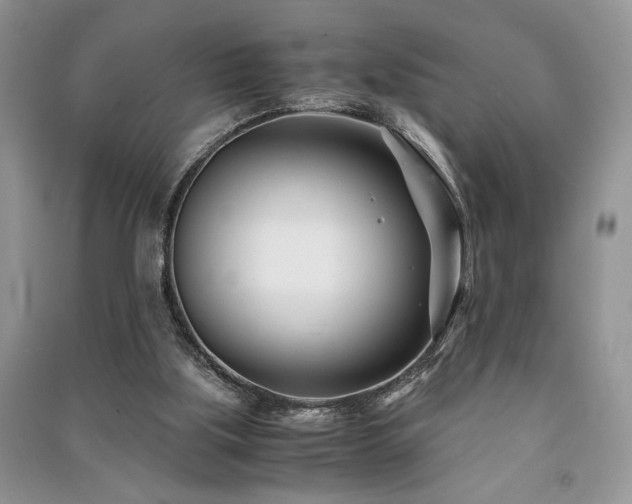 X0000091220059200708091417