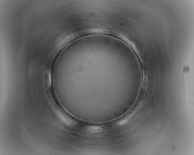 X0000091220061200708091417