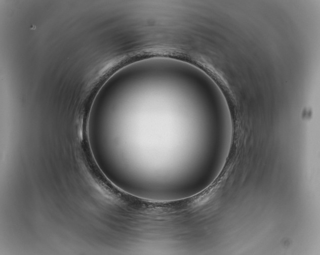 X0000091220062200708091417