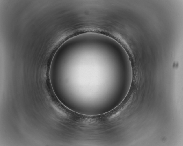 X0000091220063200708091417