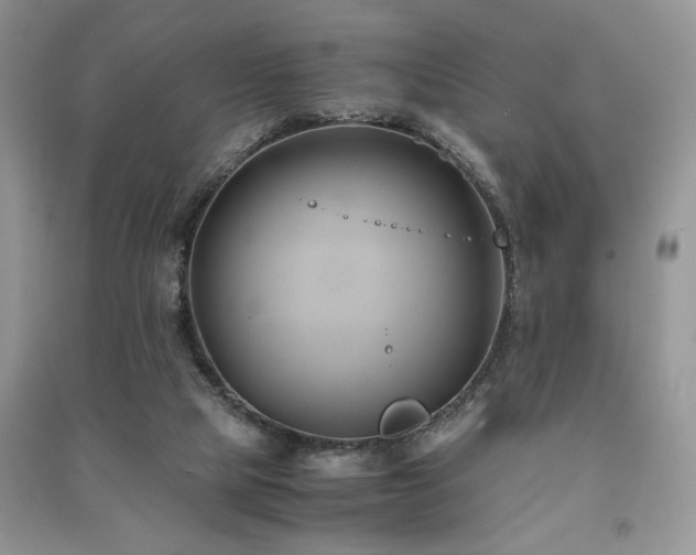 X0000091220065200708091417