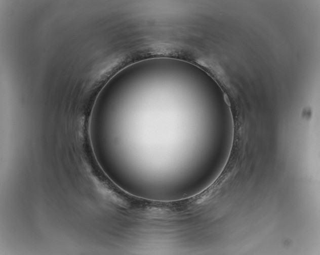 X0000091220066200708091417