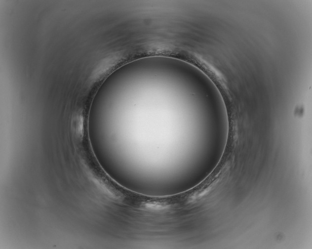 X0000091220067200708091417