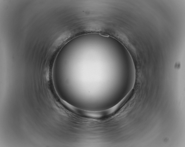 X0000091220068200708091417