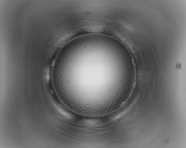 X0000091220069200708091418