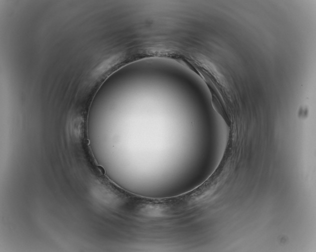 X0000091220071200708091418