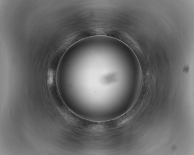 X0000091220075200708091418