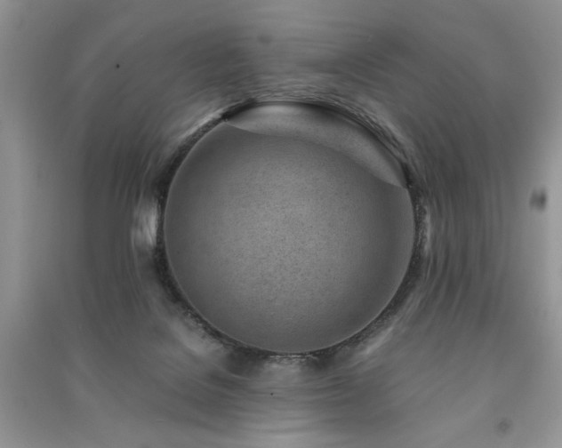 X0000091220076200708091418