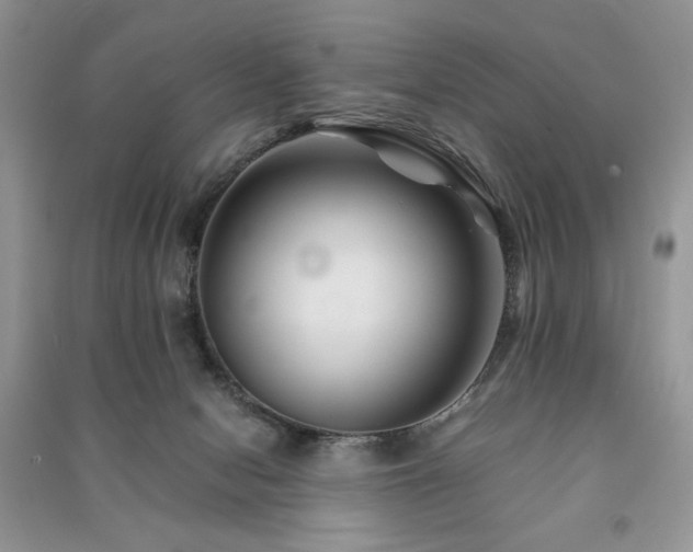 X0000091220078200708091418