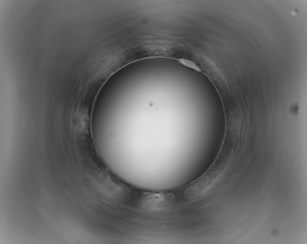 X0000091220083200708091418