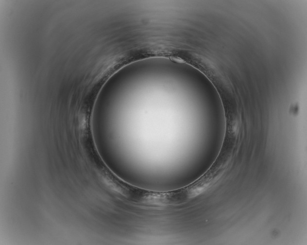 X0000091220084200708091418