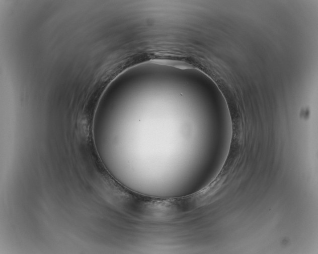 X0000091220086200708091418