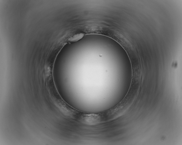 X0000091220087200708091418