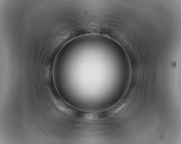 X0000091220088200708091418