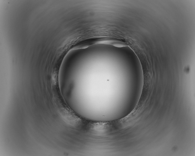 X0000091220090200708091418