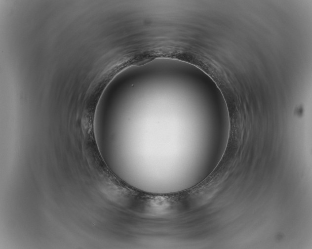 X0000091220091200708091418