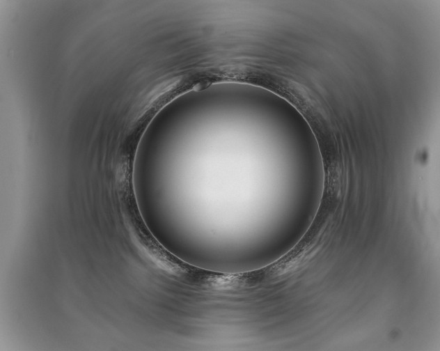 X0000091220092200708091418