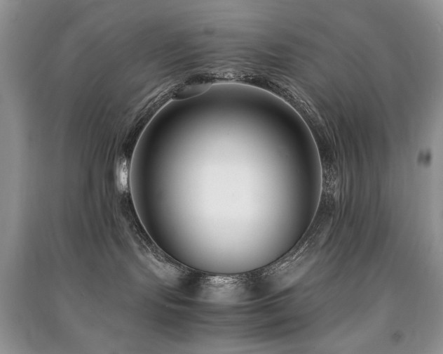 X0000091220095200708091418