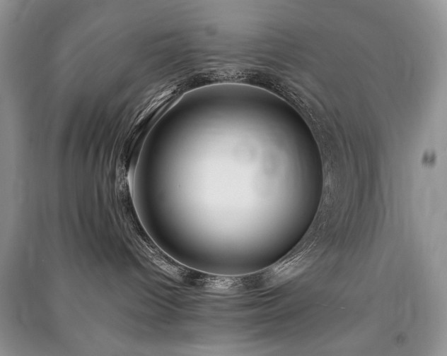 X0000091220096200708091418