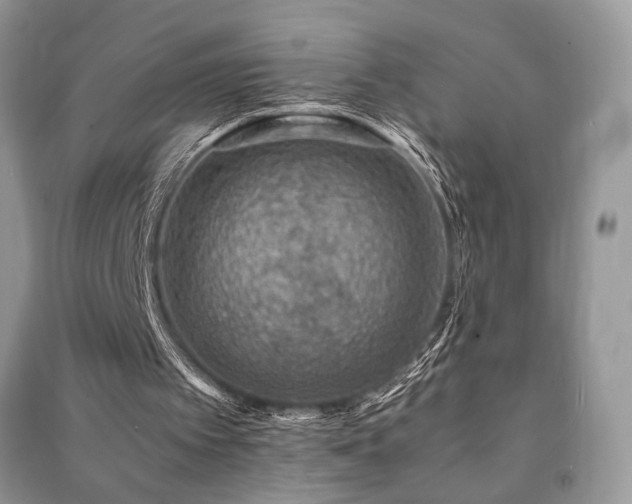 X0000091220097200708091417