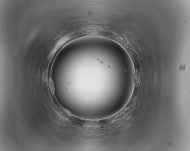 X0000091220099200708091417