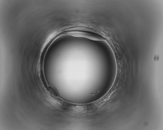 X0000091220102200708091417